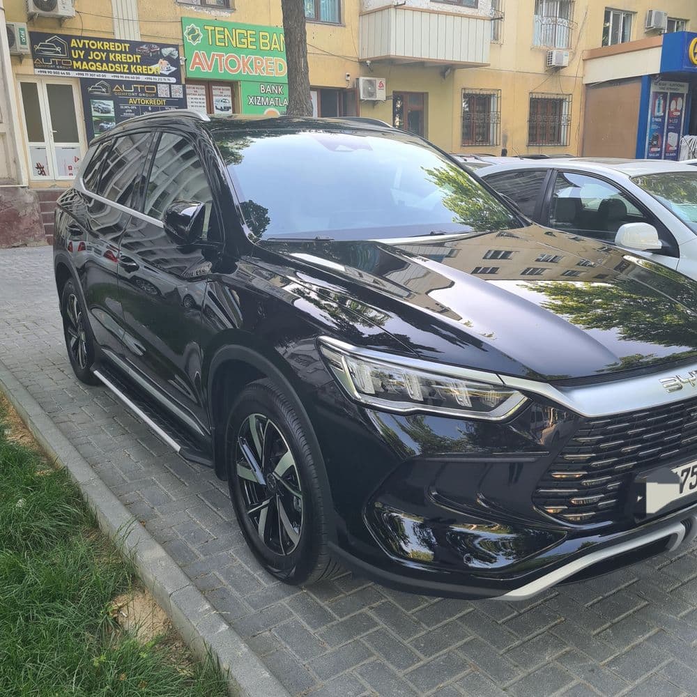Byd song pro 2024