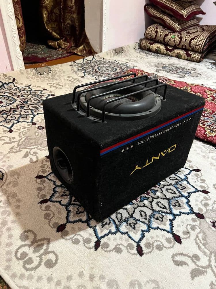 Buxoro sambufer.