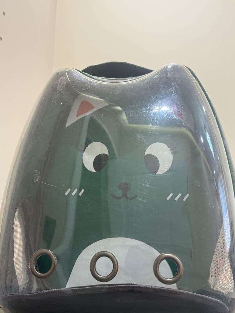 Рюкзак для кошки