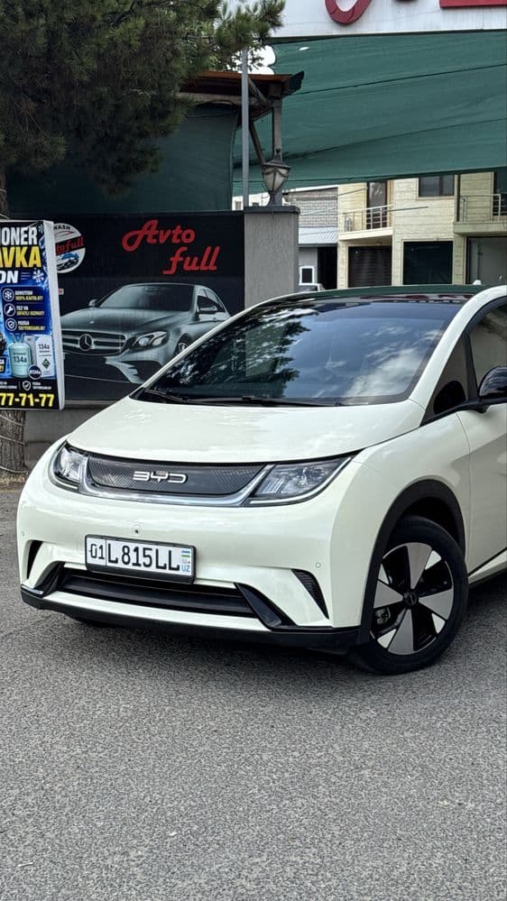 Byd dophin sotiladi