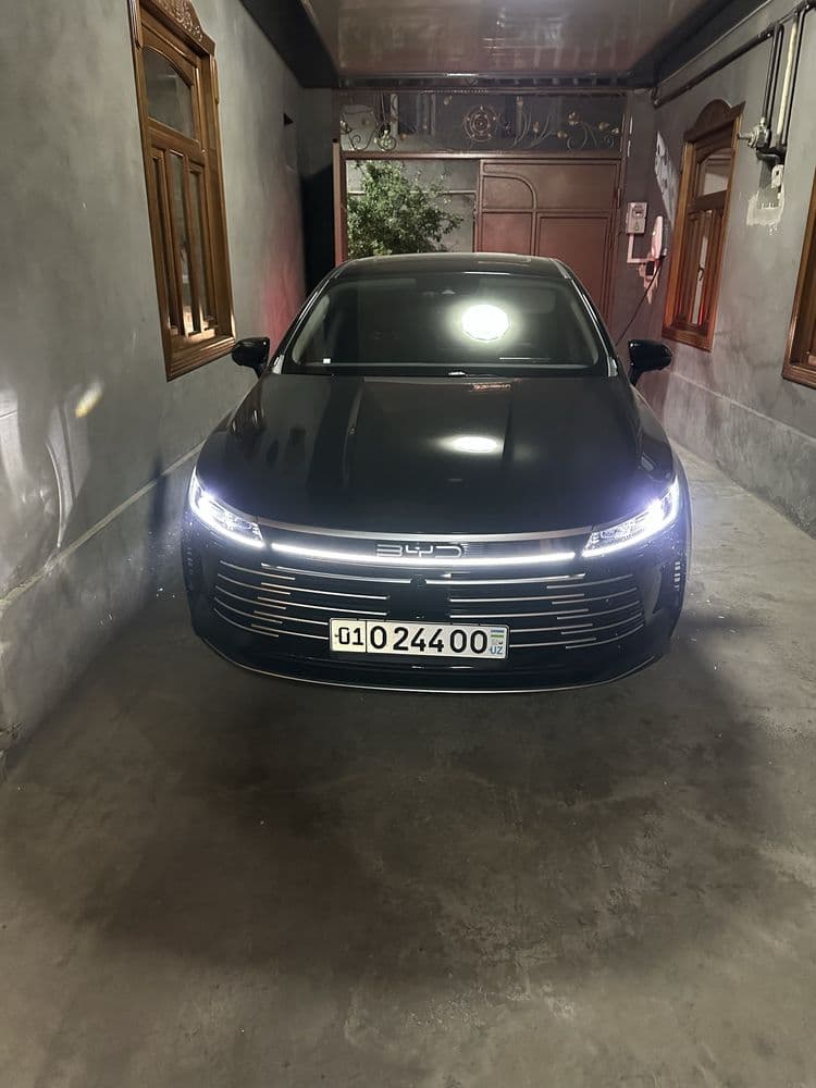 Byd chazor full 2025