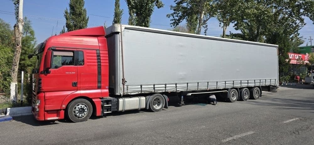 MAN tgx & wielton