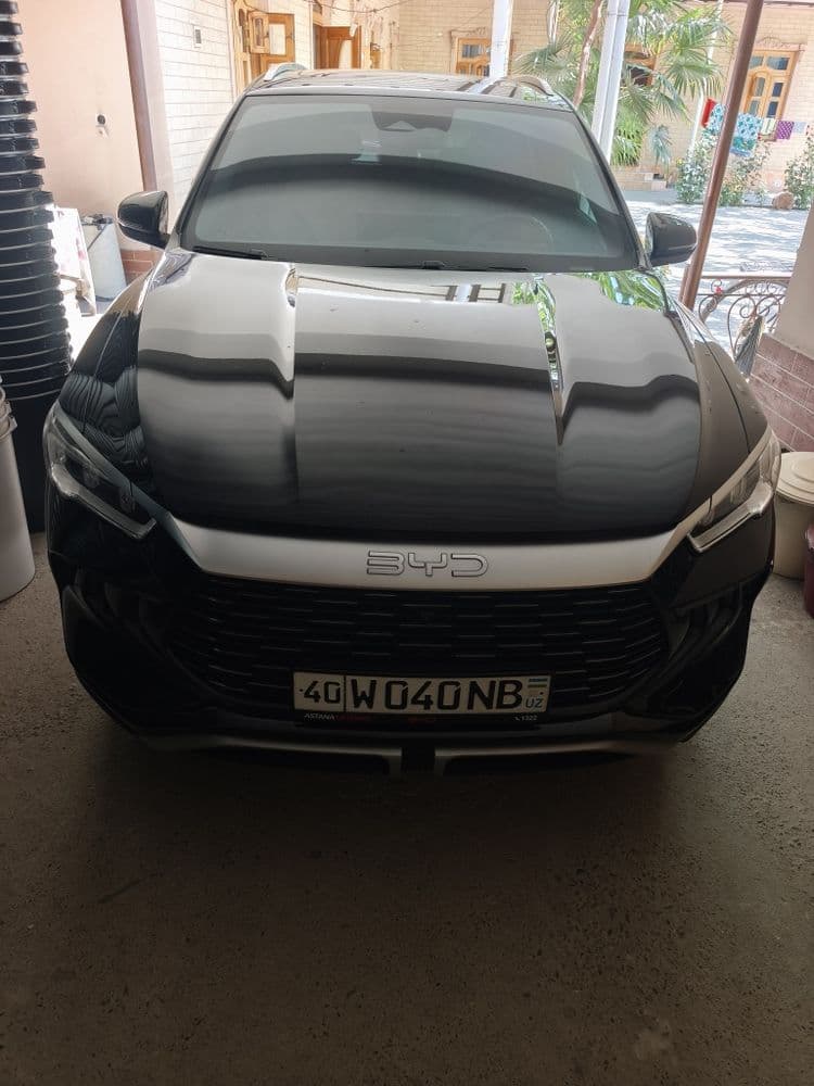 Byd song pro  gibrit full pazitsa