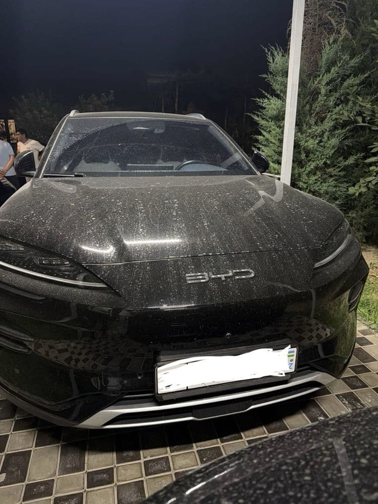 Byd champion 605 yili 2023 tanirovkasi bor