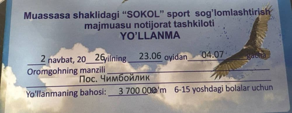 Лагерь  Сокол 2 смена