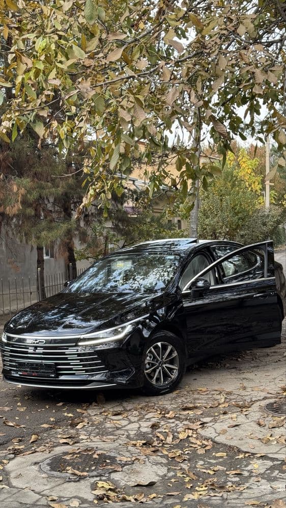Byd chazor 55km luxe