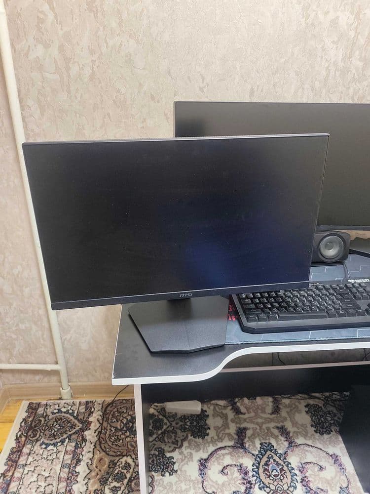 MSI 165hz 25" monitor
