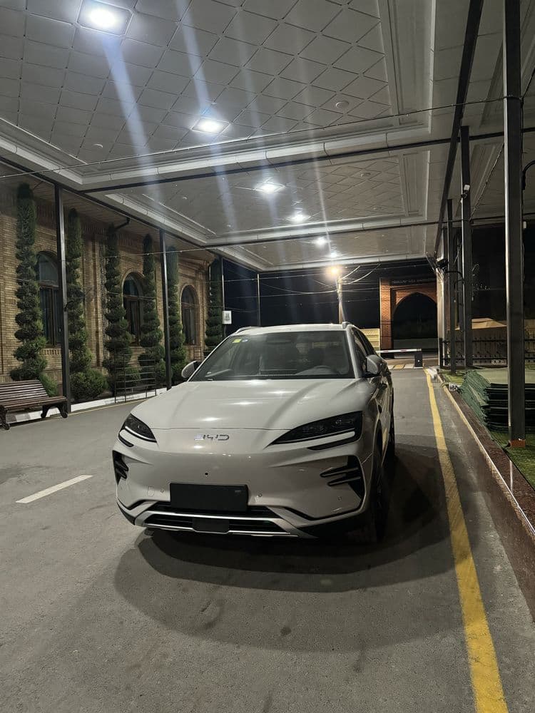 BYD Champion smart bez probeg