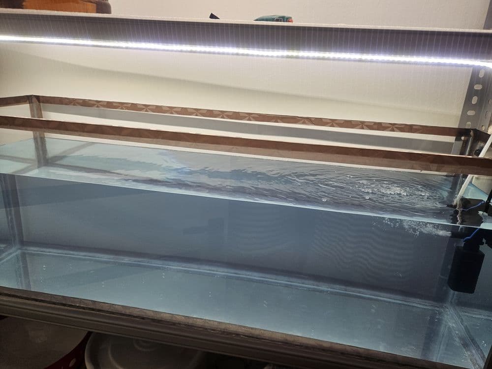 Akvaruy sotiladi hajmi 100l