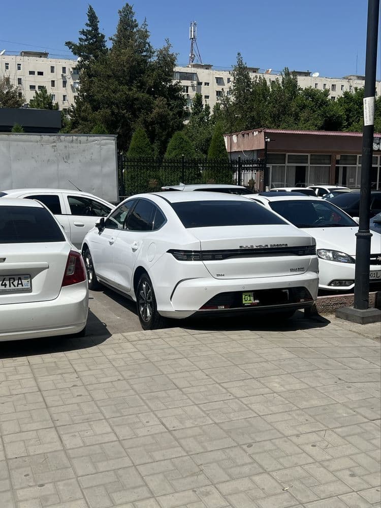Byd chazor arenda