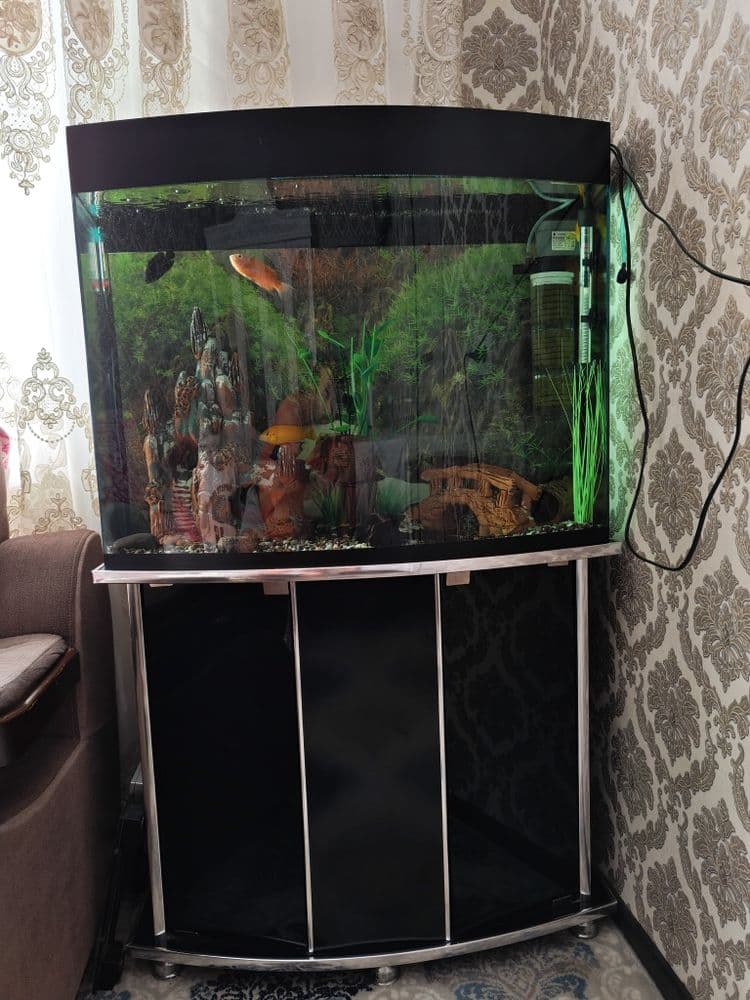 Akvarium shkafi bilan