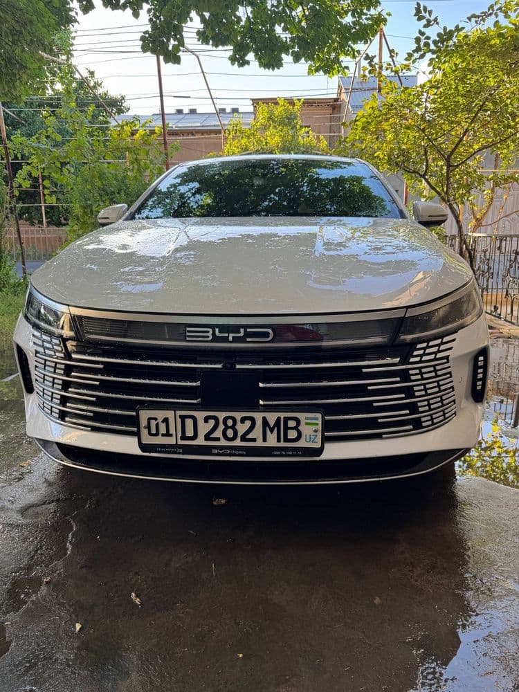 Byd Chazor full 2023