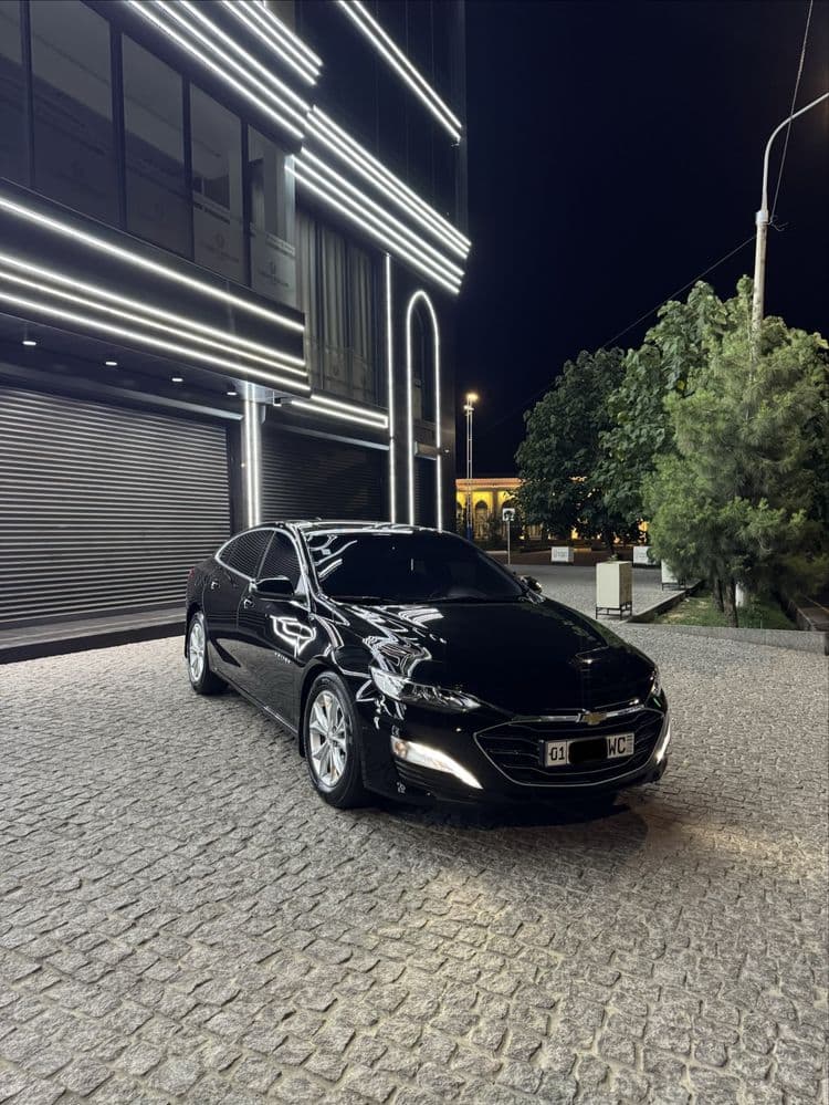 Malibu 2 Primier 2022