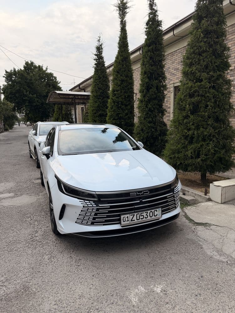Byd Chazor 2023