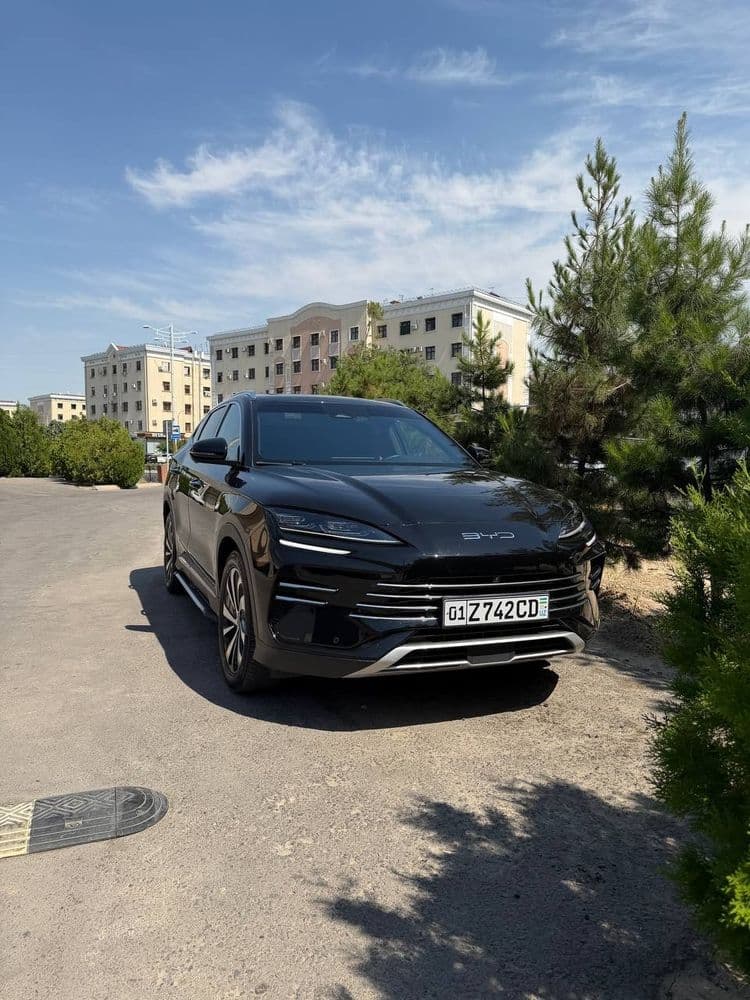 BYD Chenpion 110 Gbrid