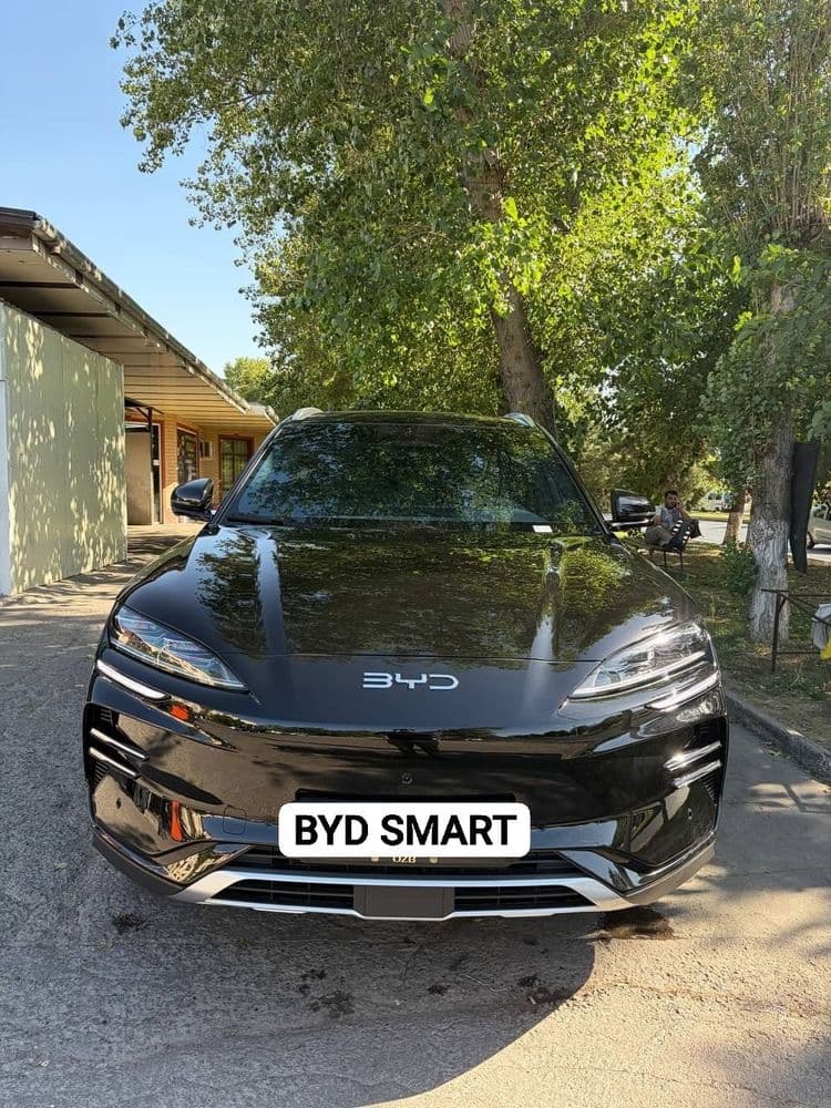 Byd Smart Chempion 2025 Srochna