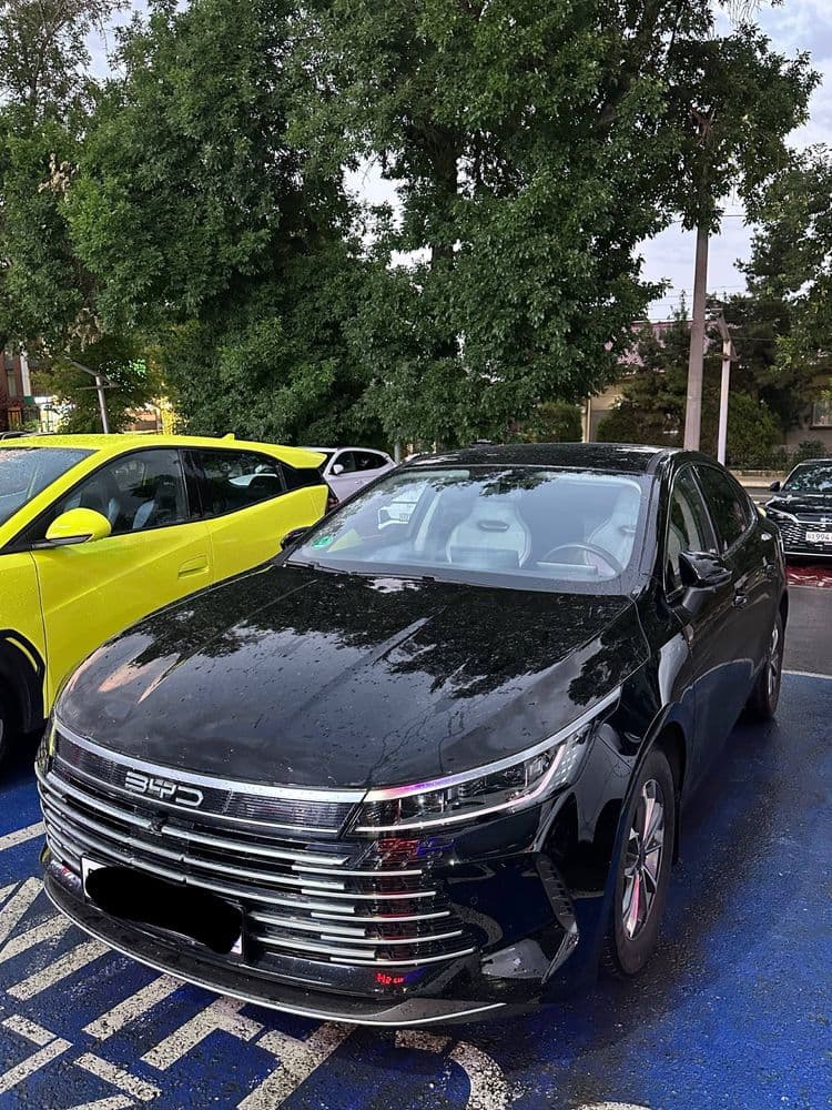 Byd chazor kraska radnoy