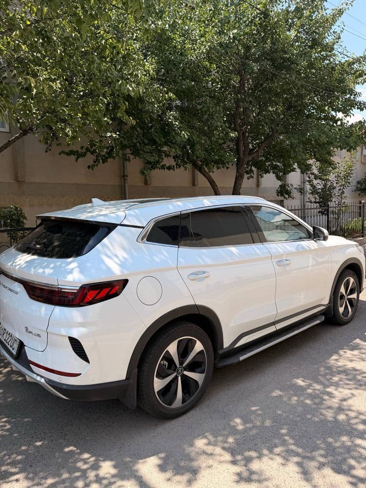 Byd kraska top toza