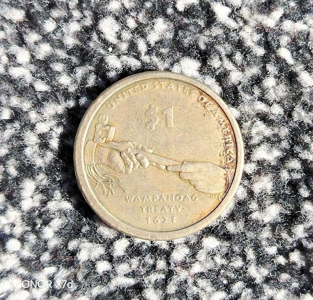 Sacagawea  1 $ Collection