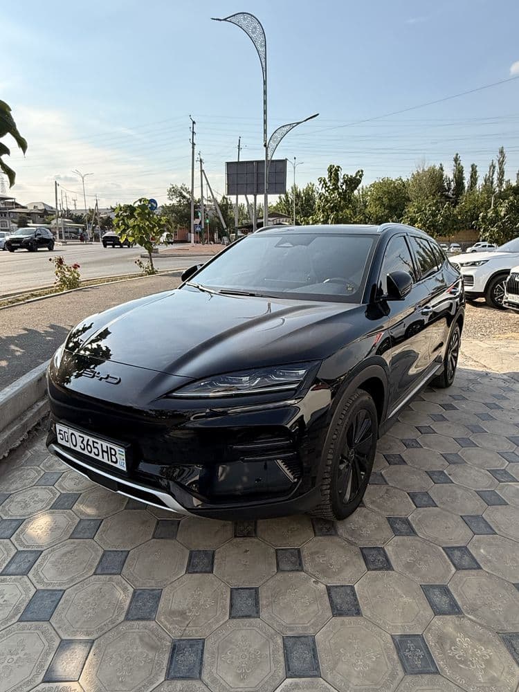 BYD champion 605 tali honir pozitsa kiraska tozza 72 ming yurgan