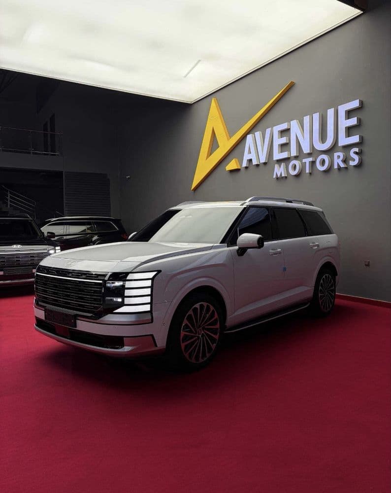 Hyundai Palisade Caligraphy