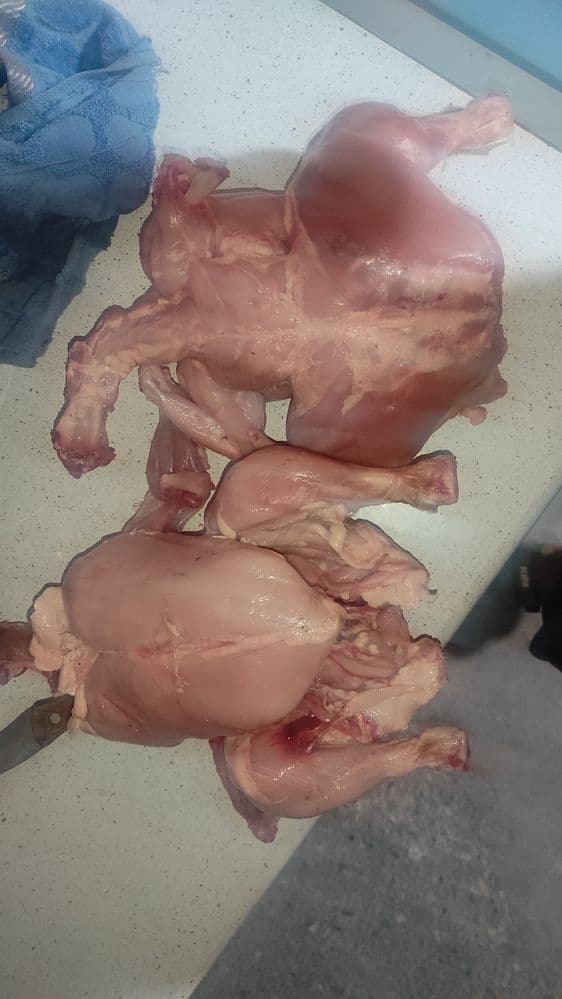 Broller go'shti Namangan arzon cheklangan miqdorda
