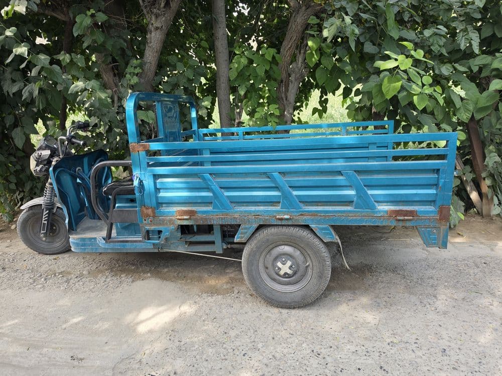 Muravey  yurib turgan