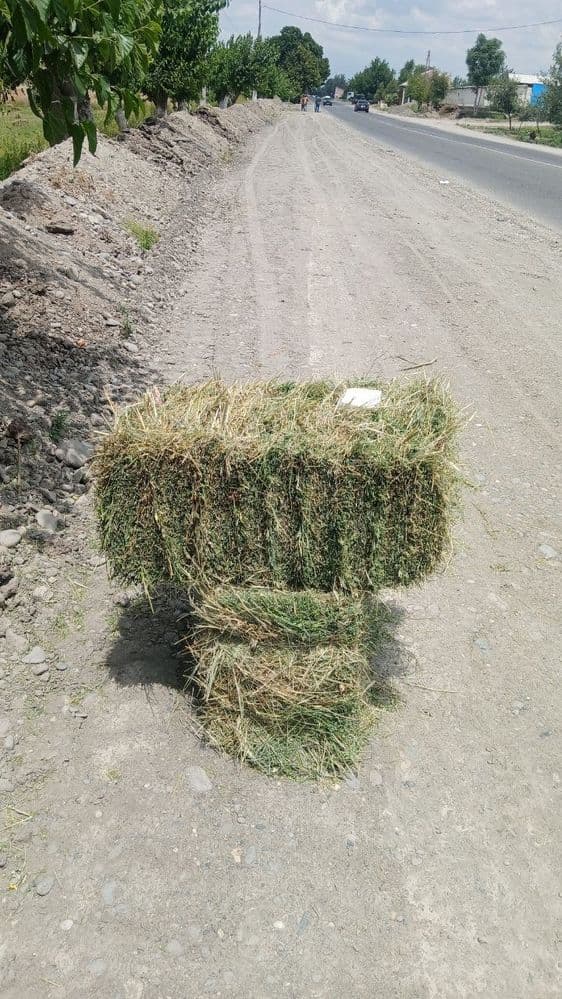 Беда пресс сифати зур