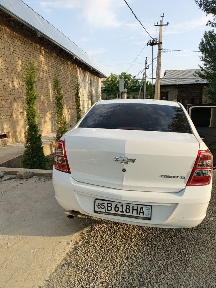 Mexanika Cobalt 2020/2021
