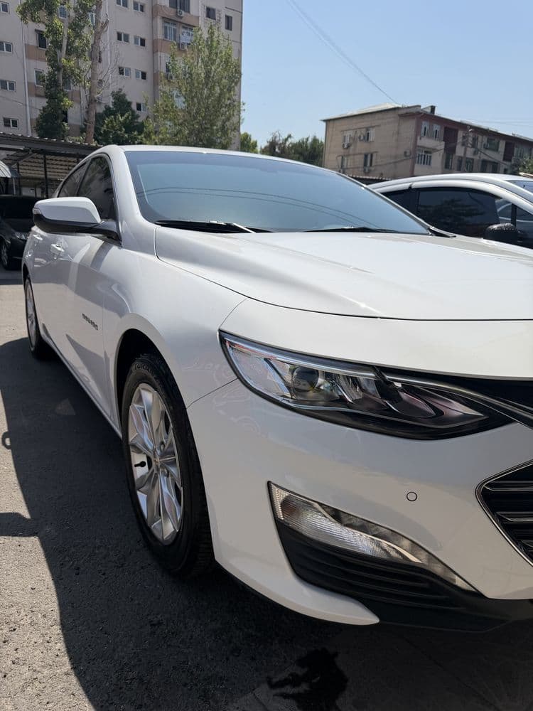 Своя Malibu Premier 2023/2022