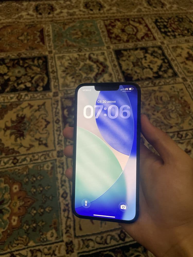 iPhone 13/12/11/14/15/16/17/18