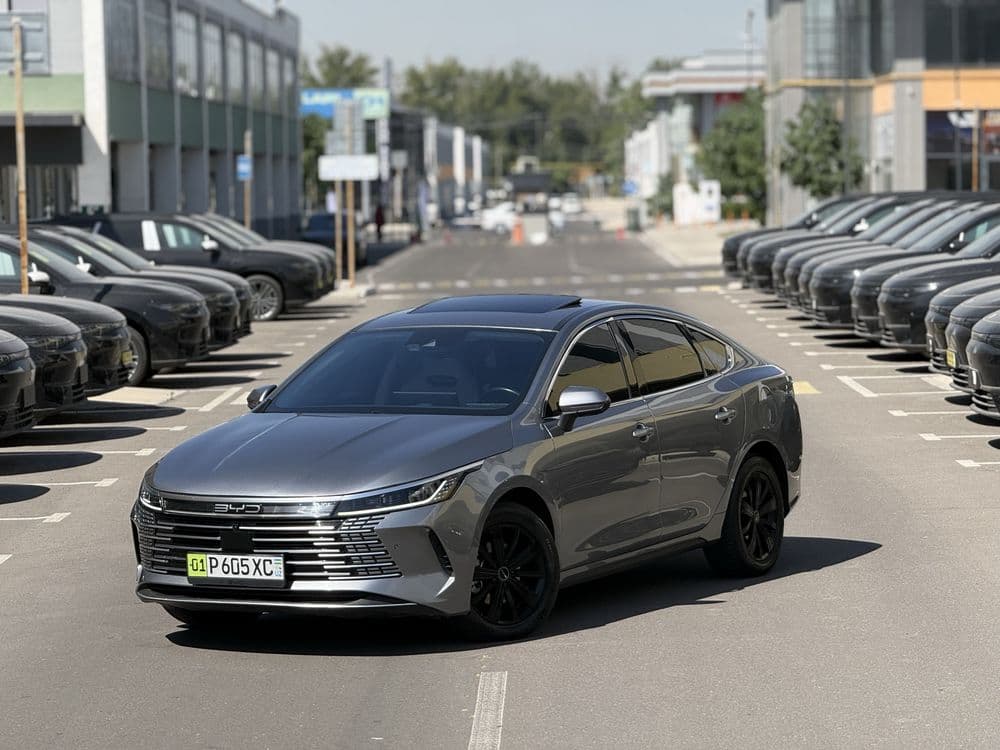 Byd chazor 120 flakship